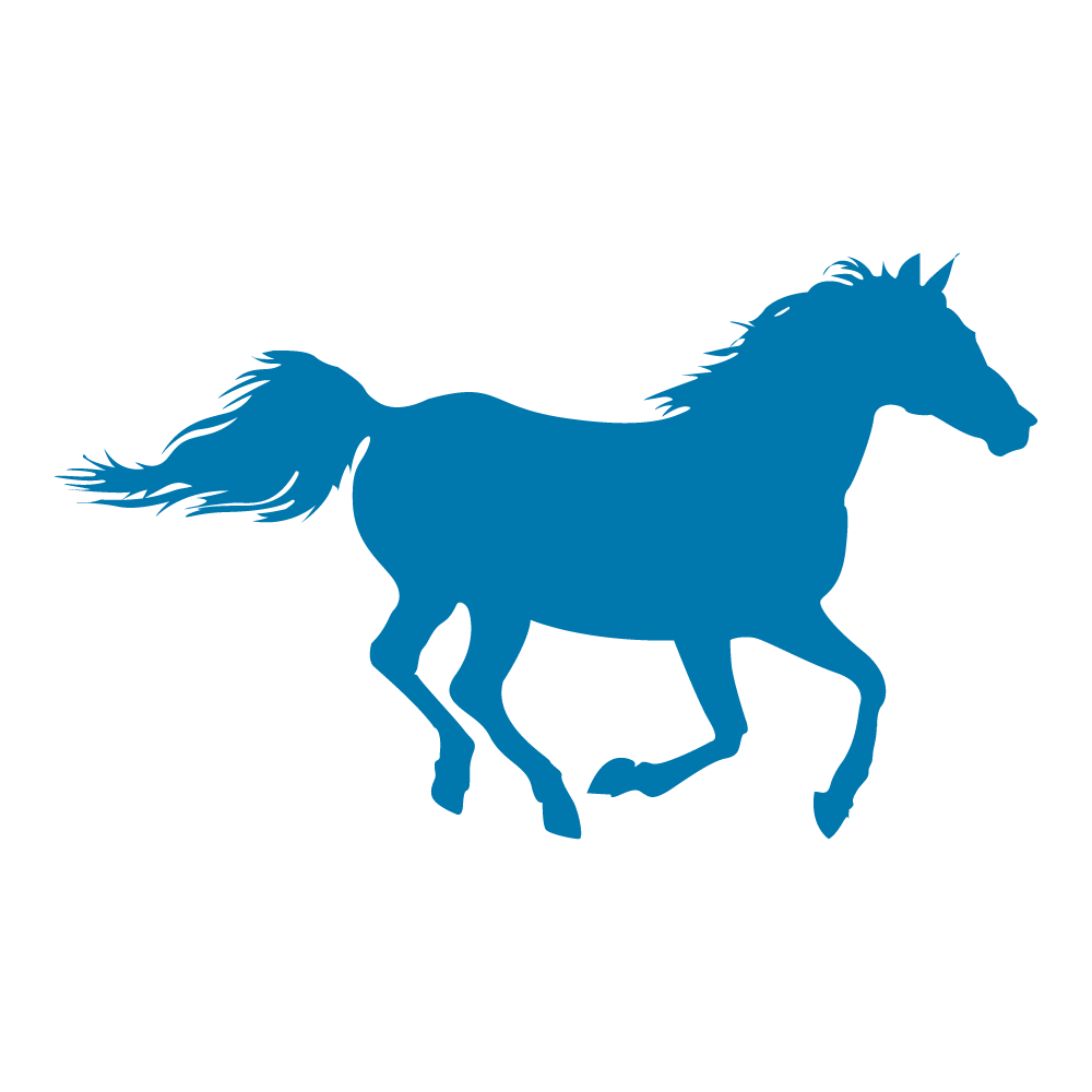 Bruce Shulkey Elementary School official logo.